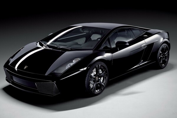 Lamborghini Gallardo Nera noir se tient dans le Studio