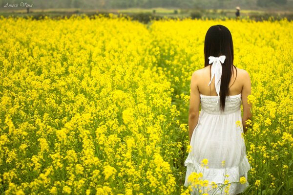 Brunette girl with her back in a white sundress in a field of yellow flowers