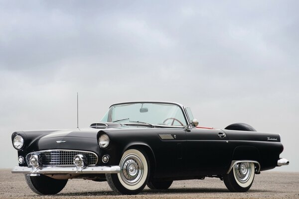 Black Ford thunderbird and grey sky