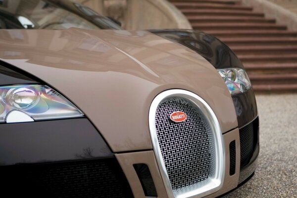 Bugatti Veyron чёрно-шоколадного цвета, передний вид авто