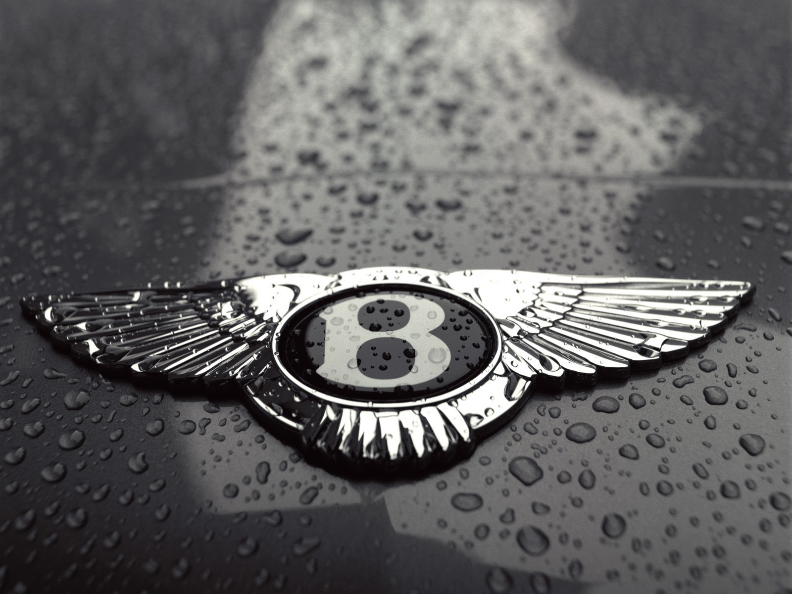 bentley logo krople czarno-białe