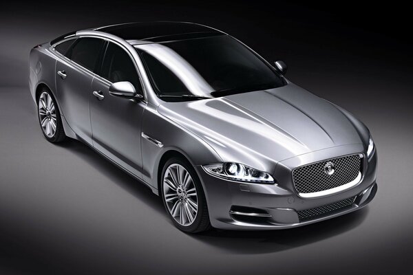 Jaguar , модель xj серебряный цвет на сером фоне