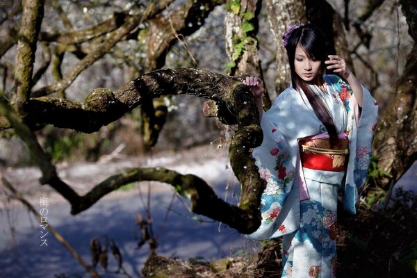 Asian beauty in a kimono on a tree background