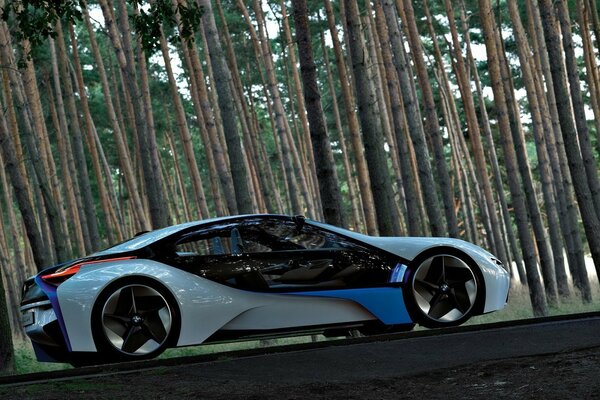 Cool BMW looks good in the woods