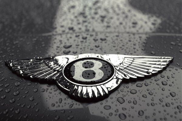 Insignia del coche de Bentley bajo la lluvia