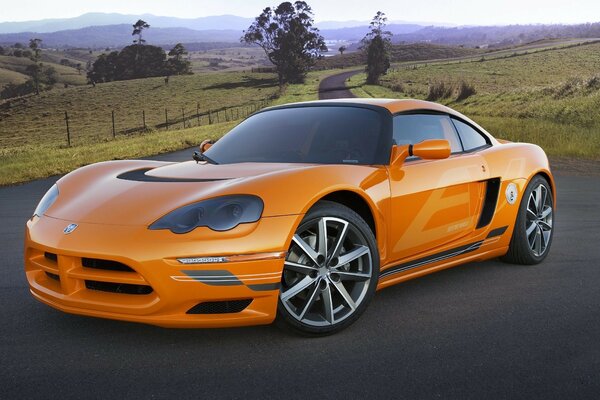 Orange car on the road on the background of a field