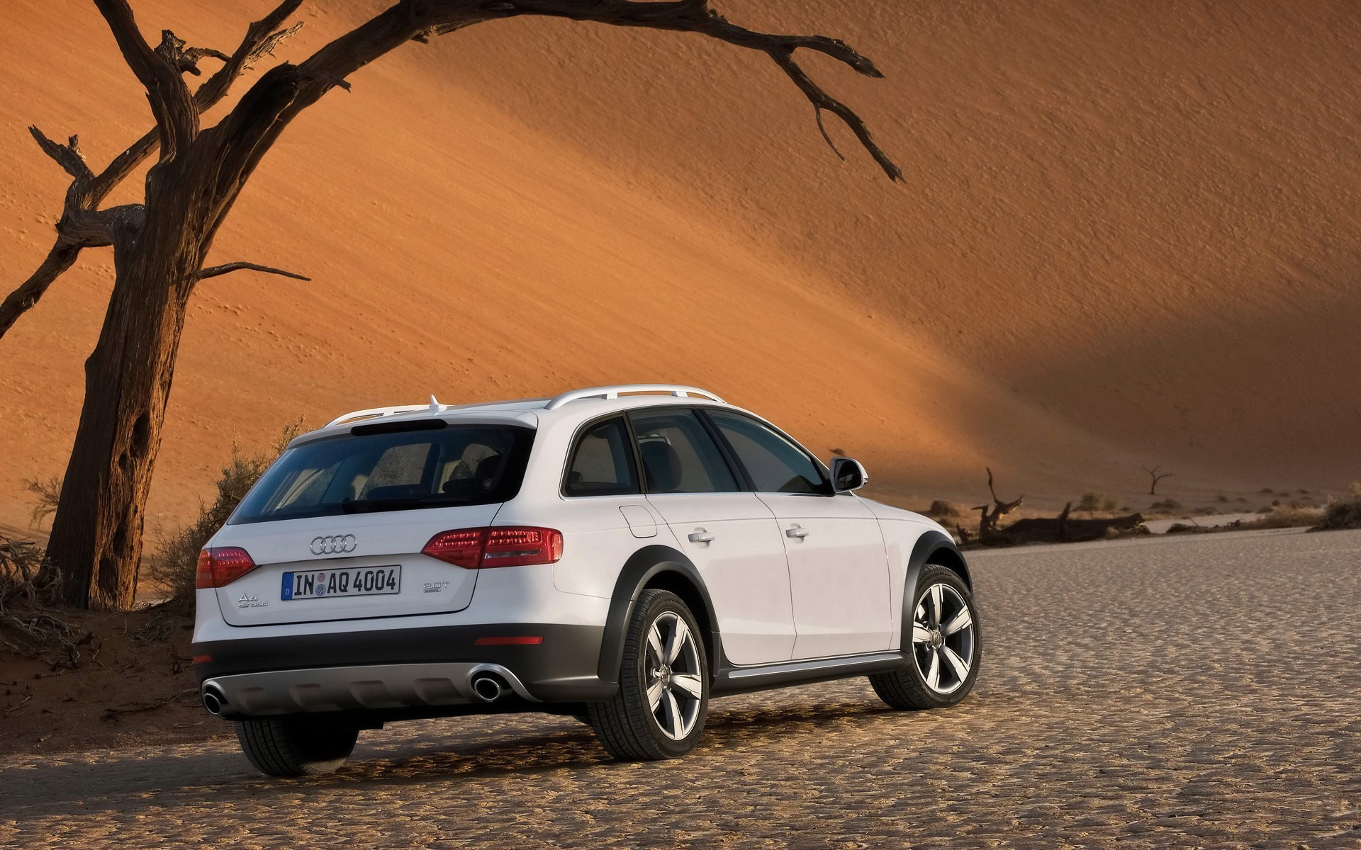 audi allroad белый пустыня