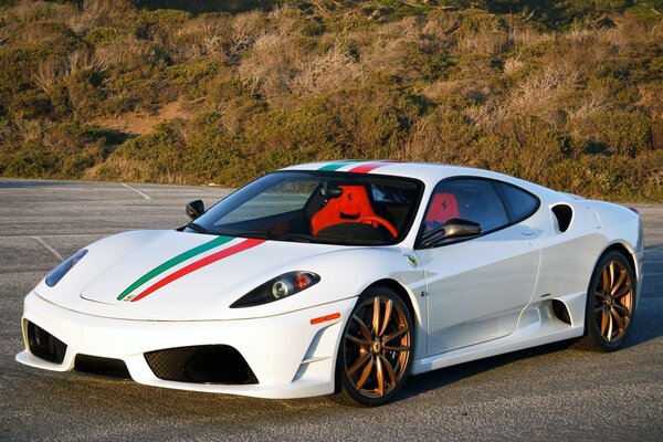 Ferrari F 430 blanco con interior rojo