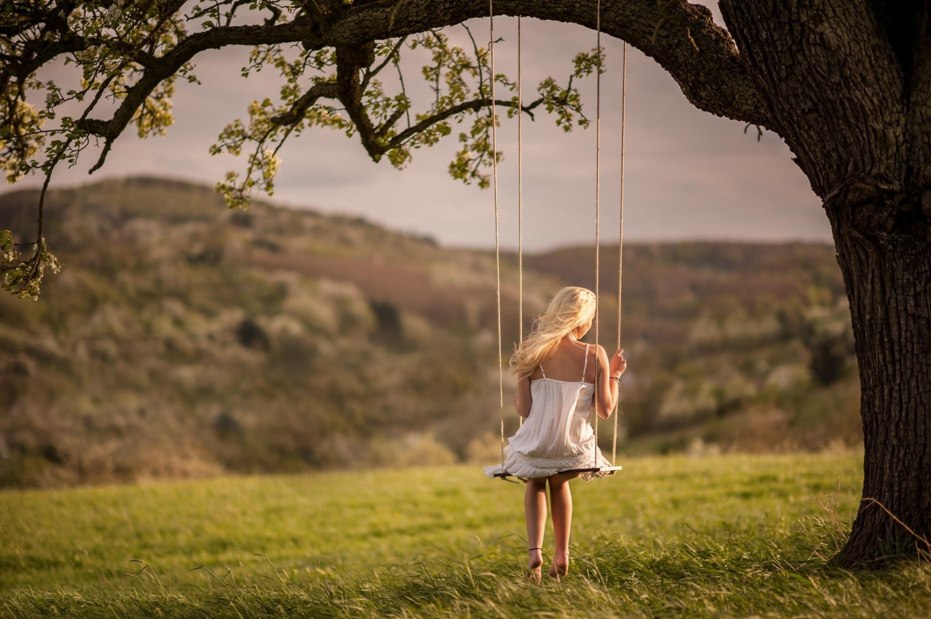 naturaleza chica swing