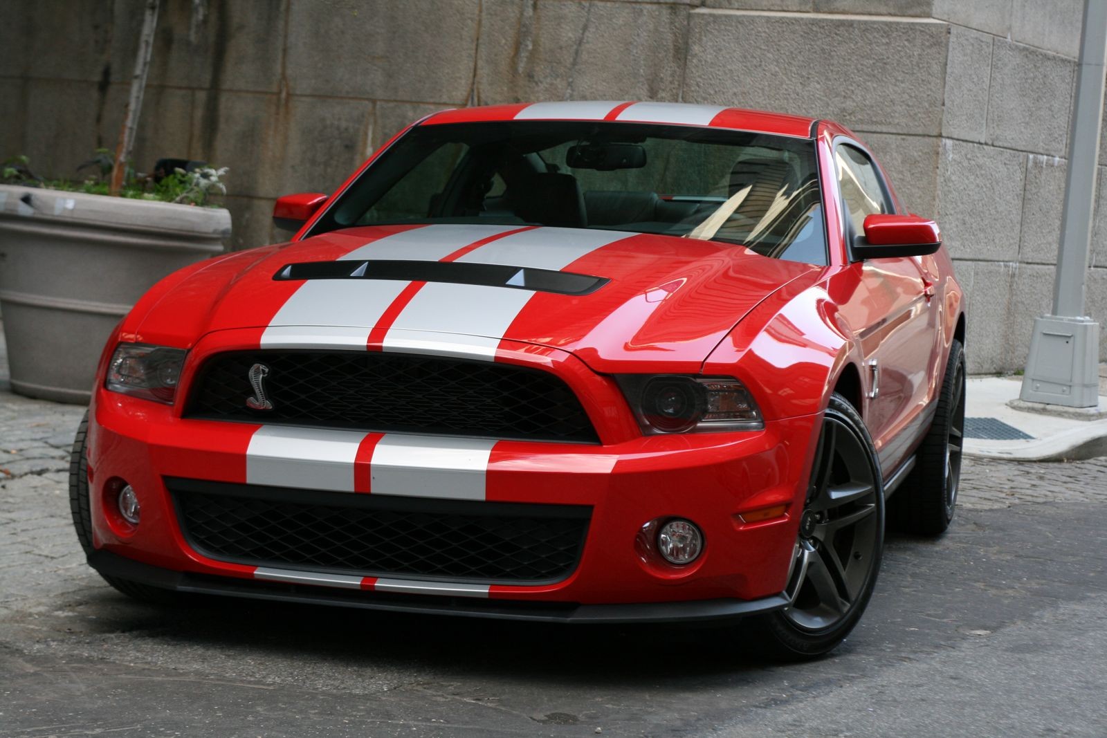 automobili ford mustang