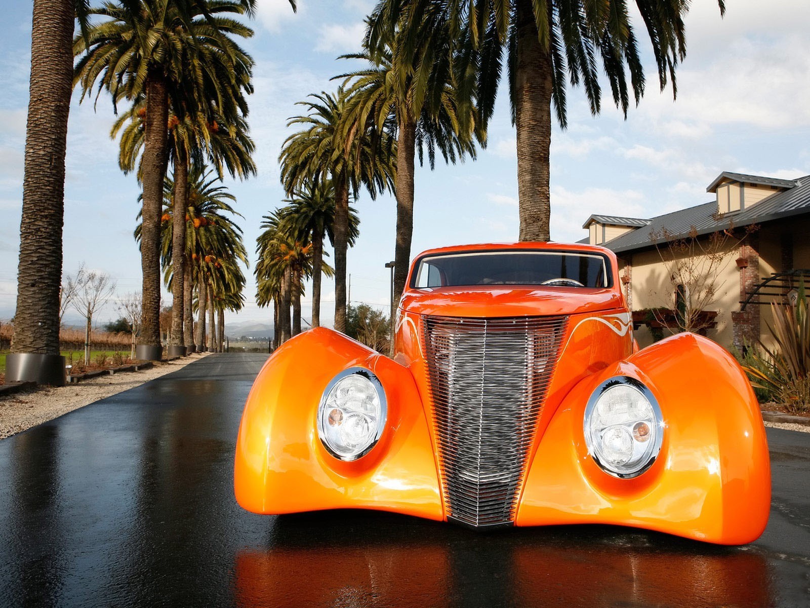 ford tuning orange palm