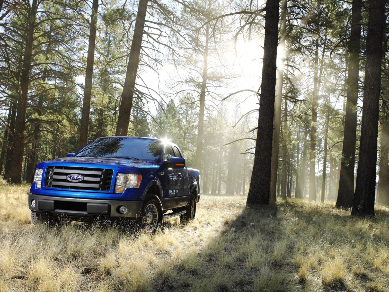 ford pickup wald sonne