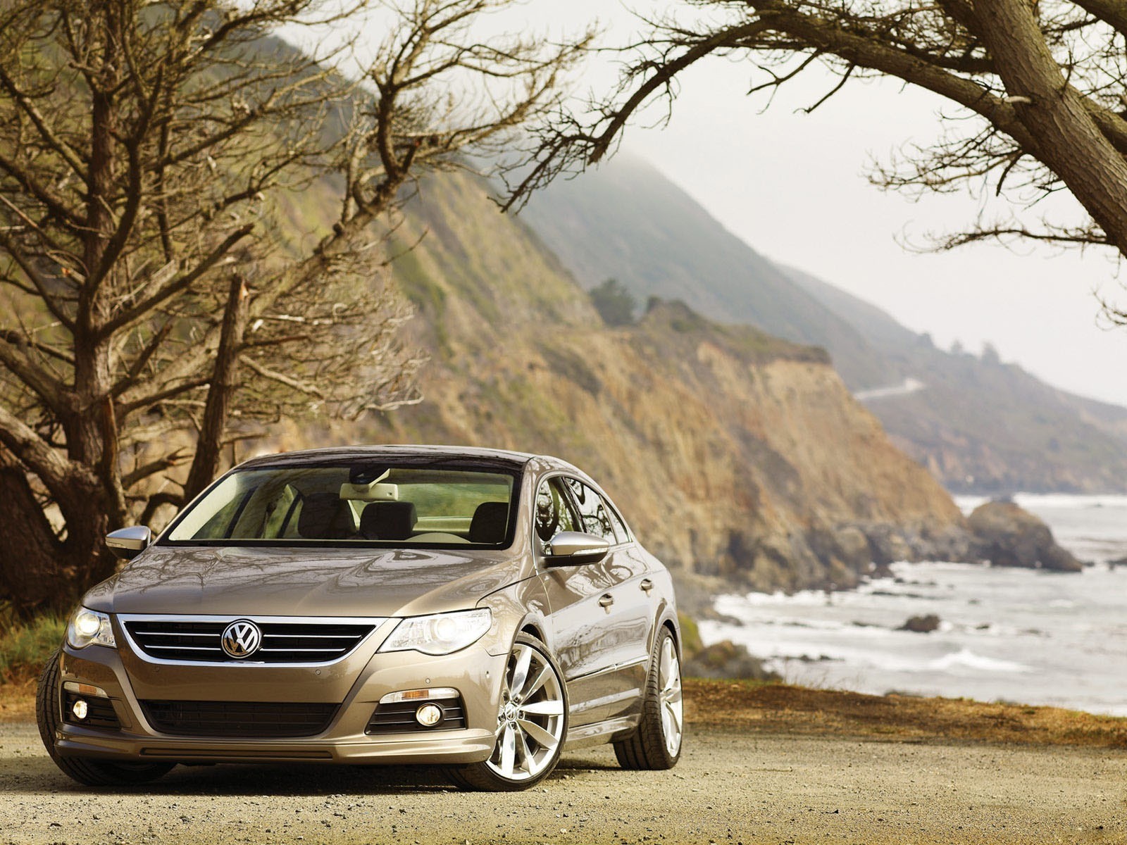 volkswagen tree landscape mountain