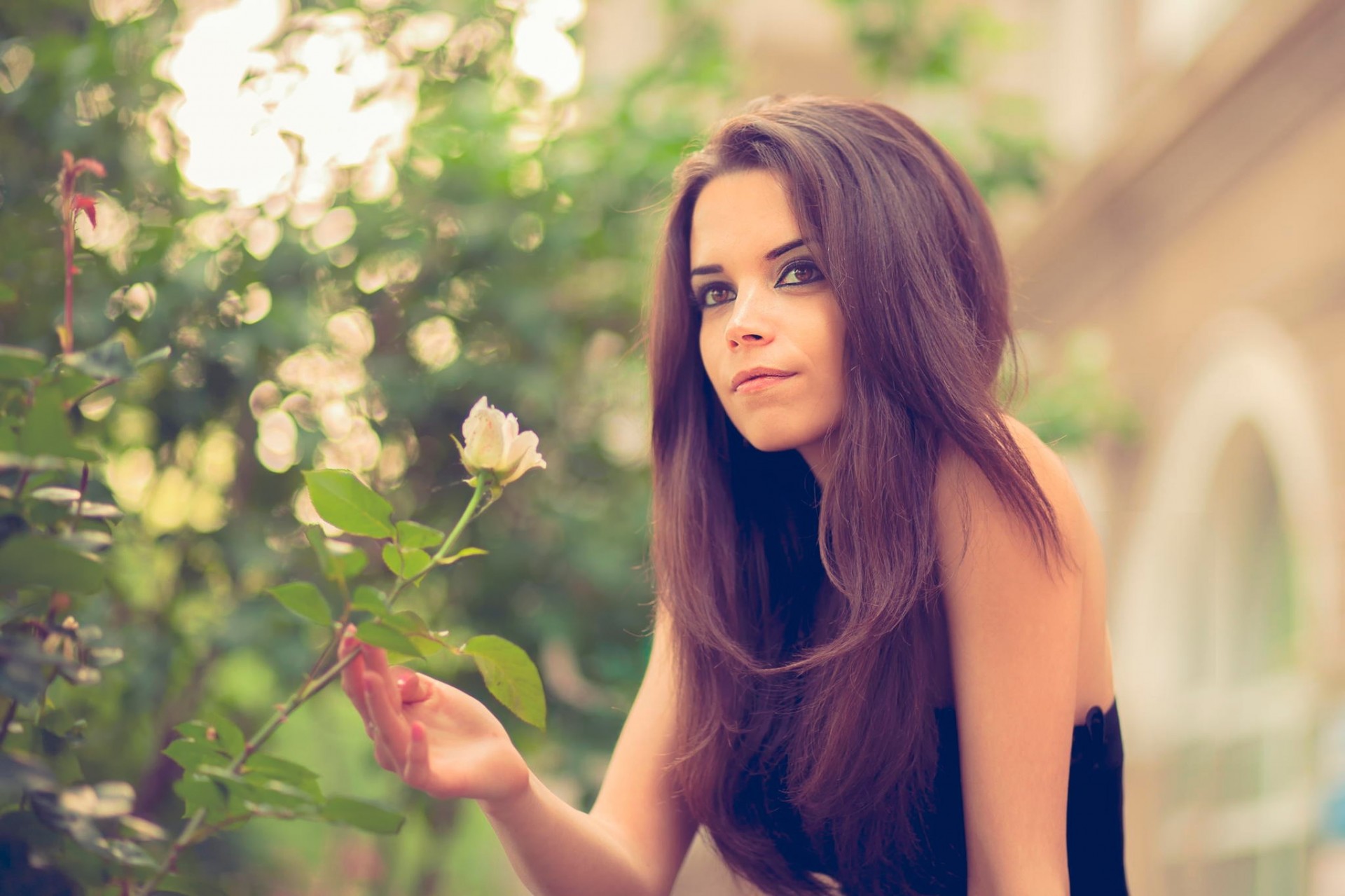 rose blume mädchen braunäugig