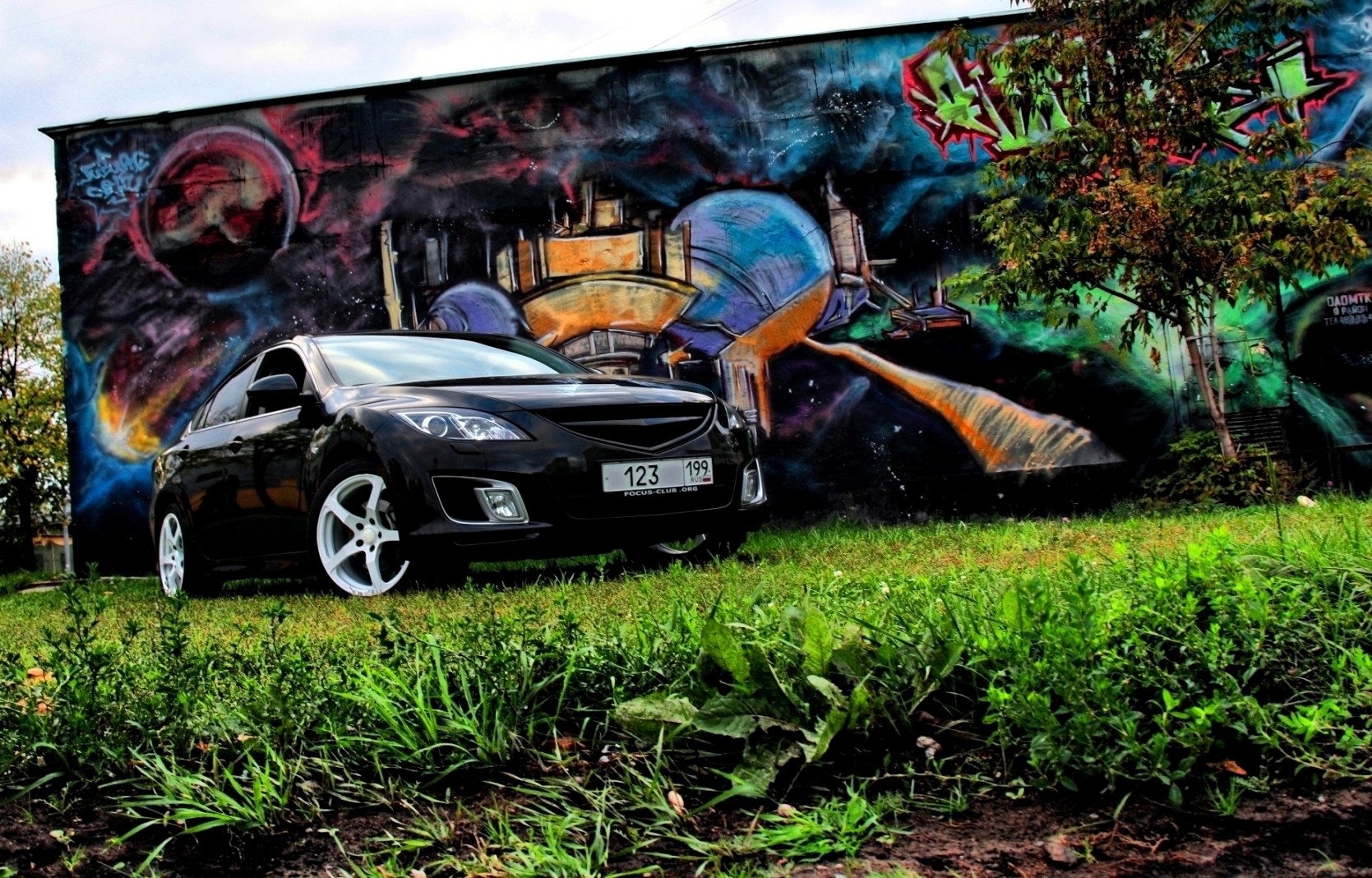 mazda 6 grass graffiti tree