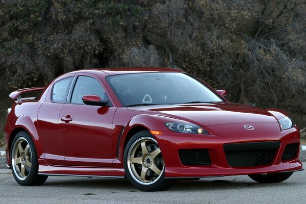 Mazda sports car on the background of a flowering tree