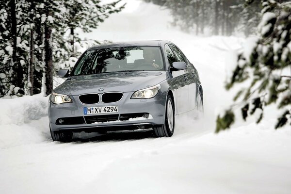 Bmw photo in the winter forest