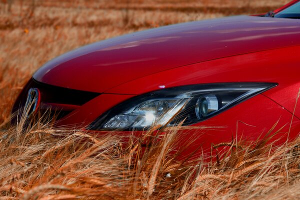 Mazda 6 vor dem Hintergrund der Ähren im Feld zurückschneiden