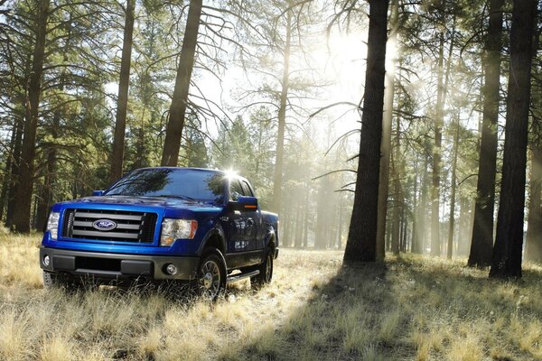 Bleu Ford pick-up dans la forêt ensoleillée