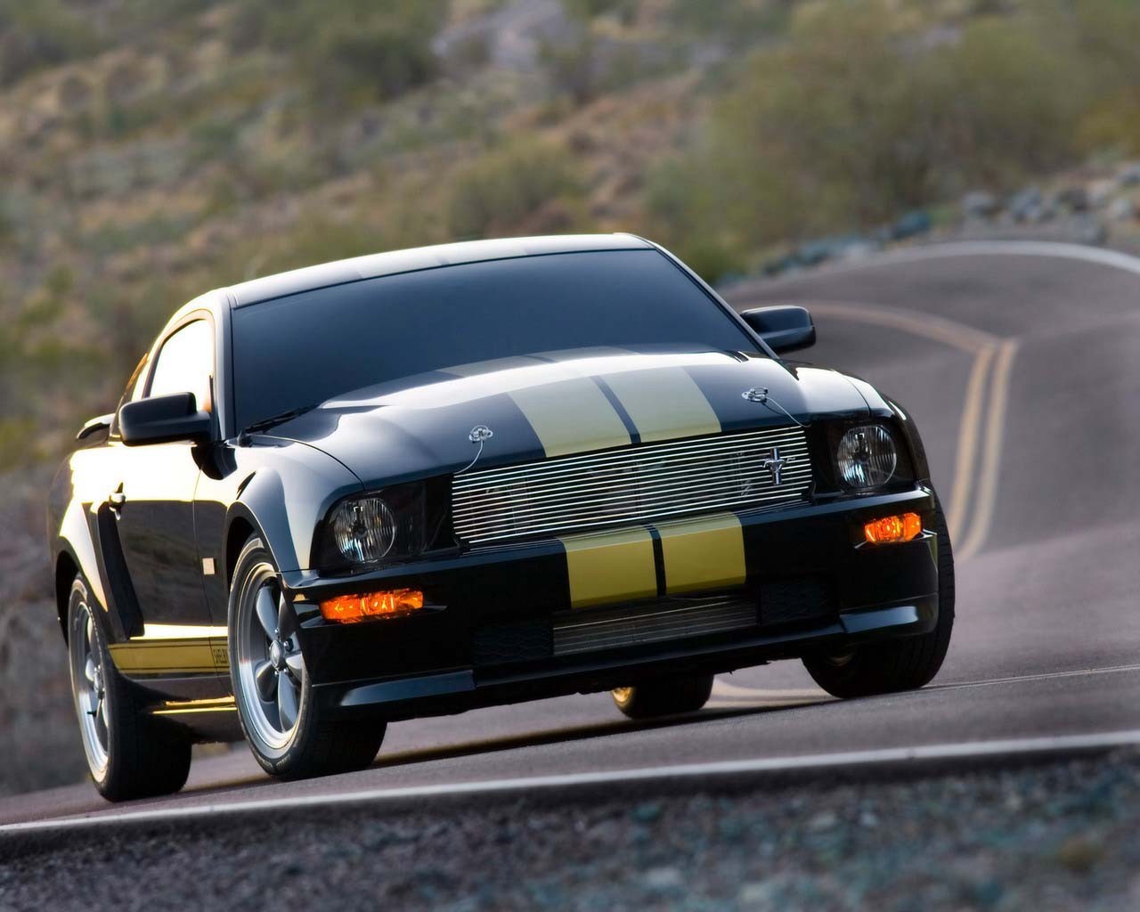 car mustang road