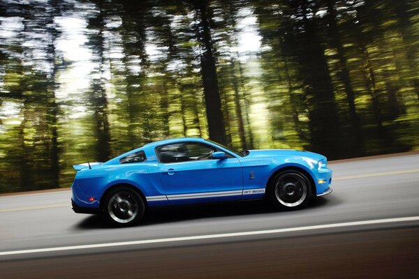 Ford is flying at speed along the highway through the forest