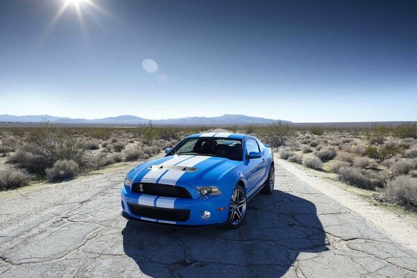 Ein blauer Ford Shelby und eine Strecke in der Wüste