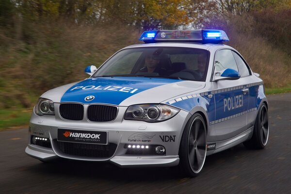 Coche de policía en el camino forestal