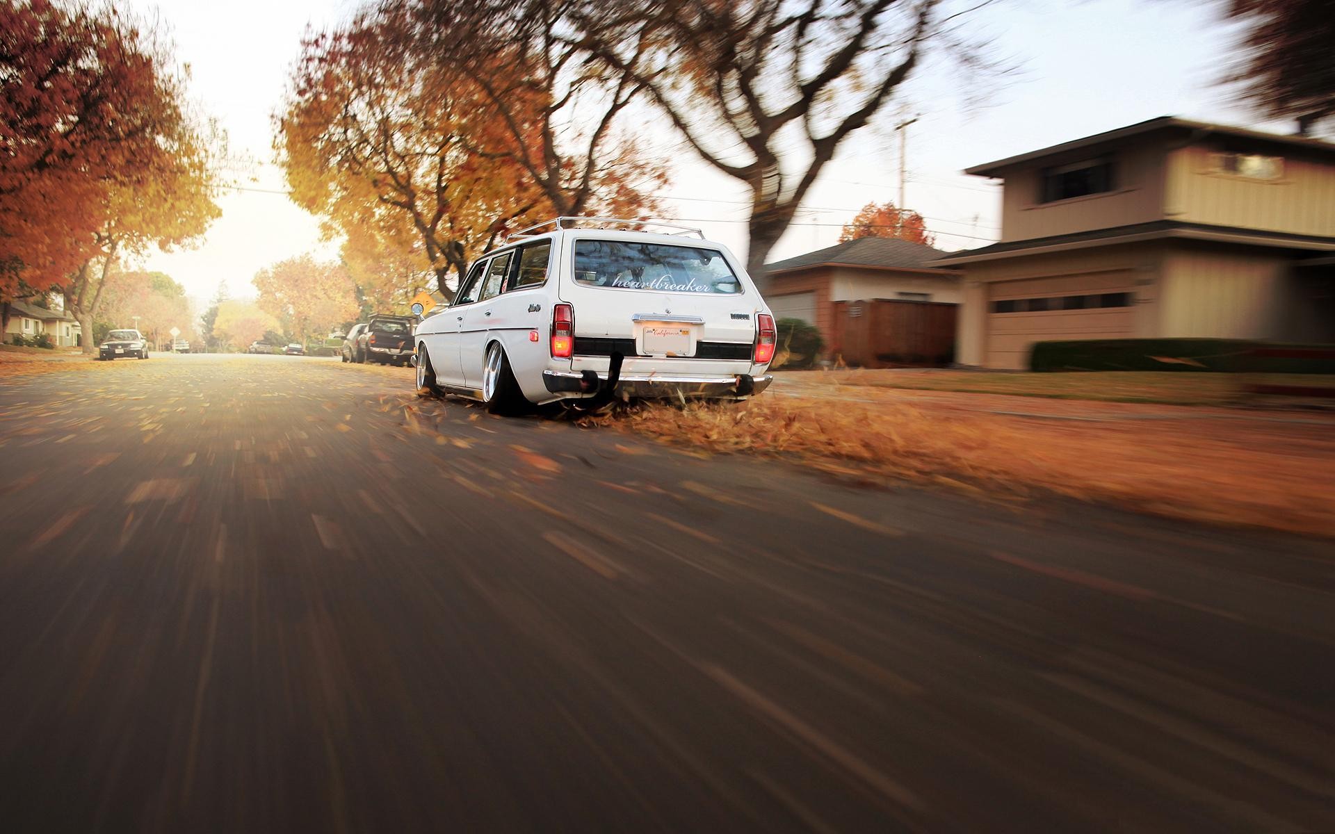 datsun autunno