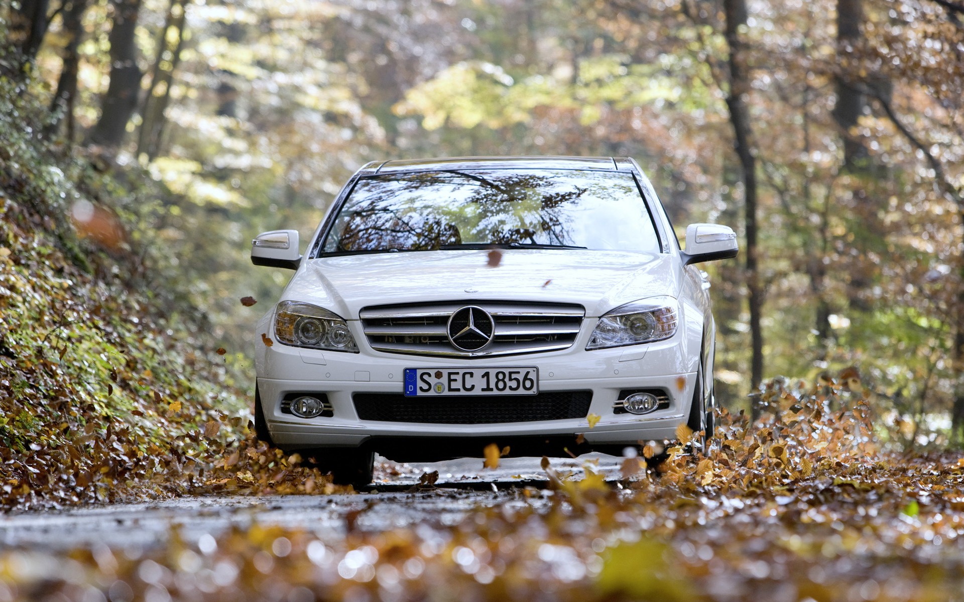 mercedes-benz c350 road foliage