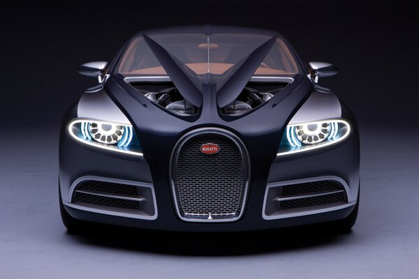 Bugatti concept car, with hood opening on both sides