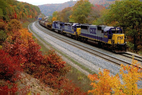 Tren en el fondo del paisaje de otoño