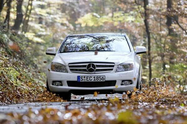 Mercedes-benz c350 conduce por una carretera llena de hojas