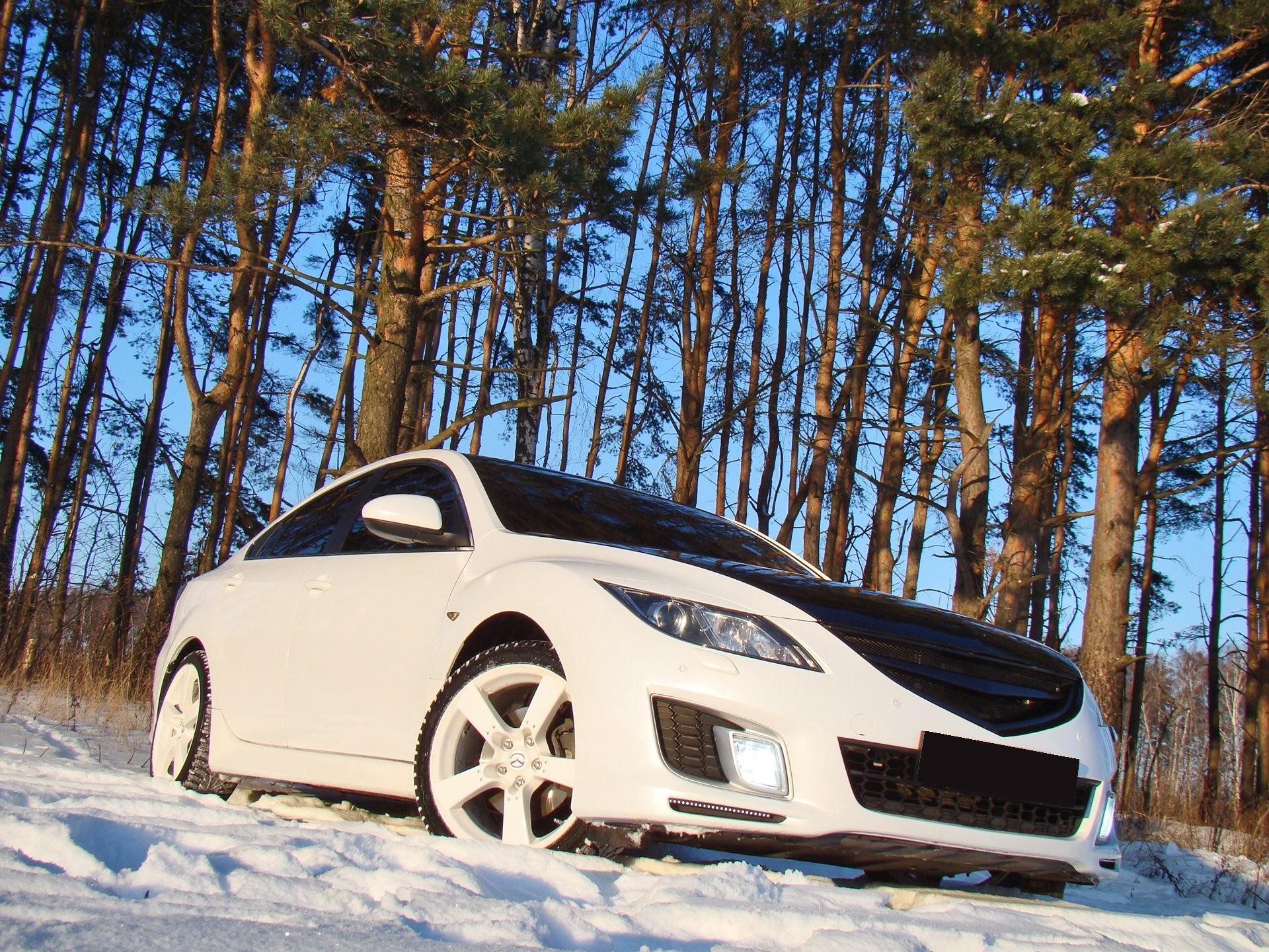 mazda 6 snow tree