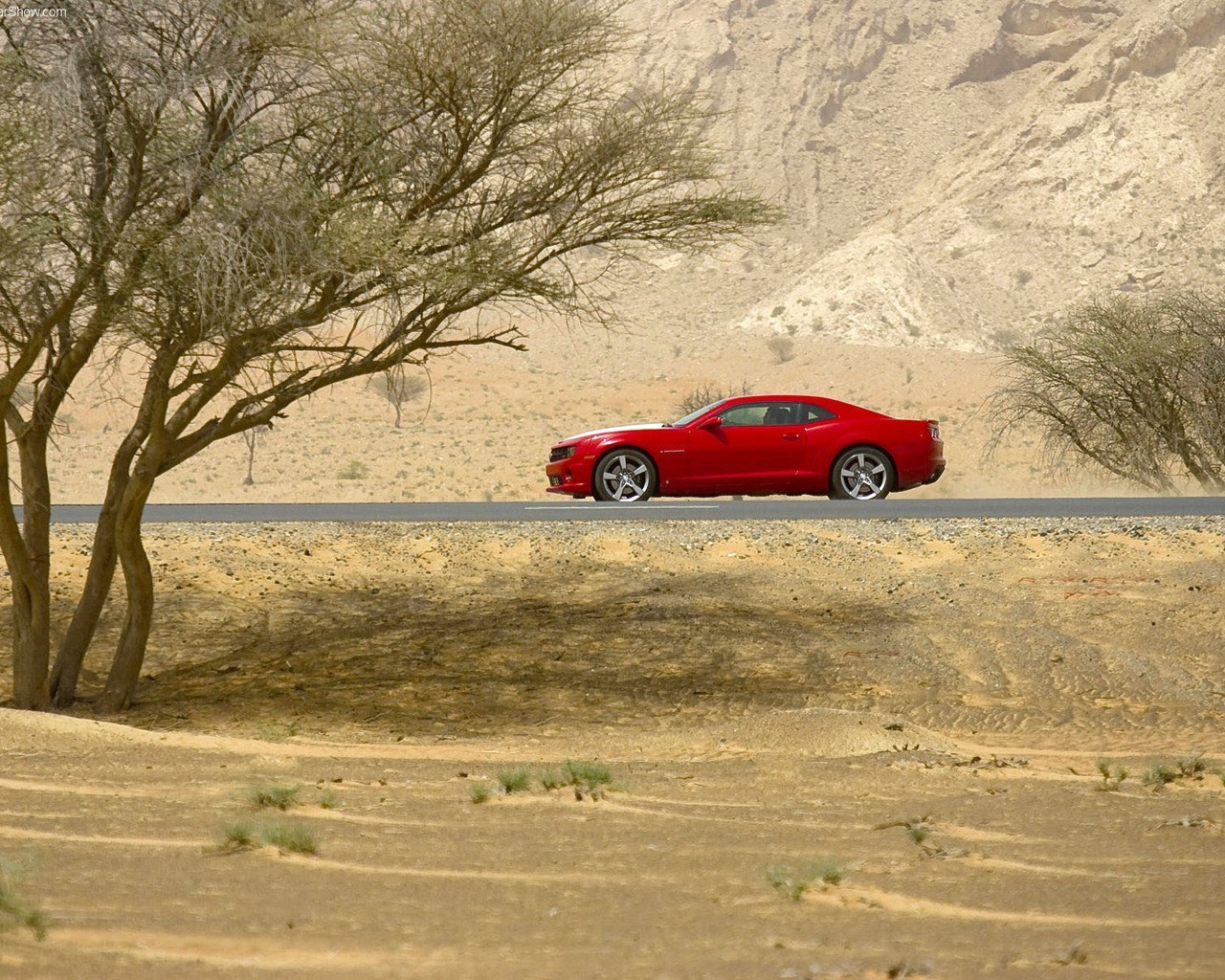 auto rosso deserto albero