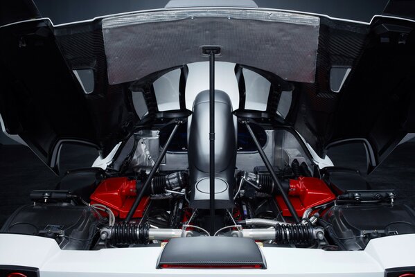 Ferrari enzo tuningowany silnik gemballa