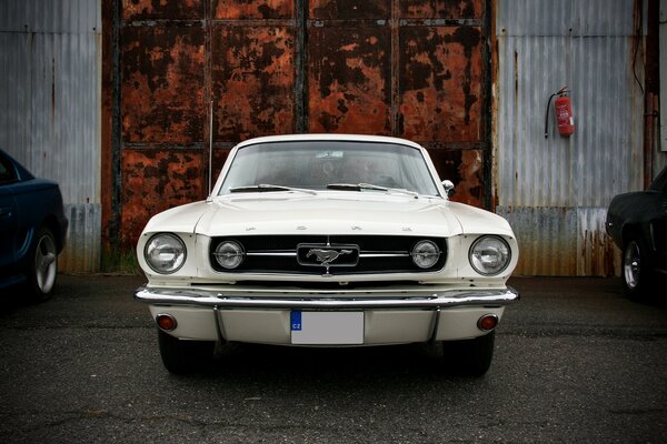 Mustang blanc sur fond de porte rouillée