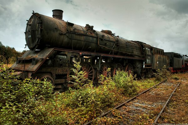 Old, rusty train on the background of rails and bushes