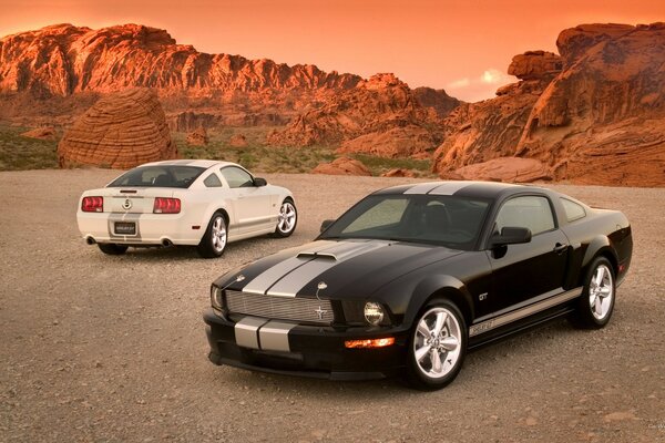 Shelby mustang black and white on the background of rocks