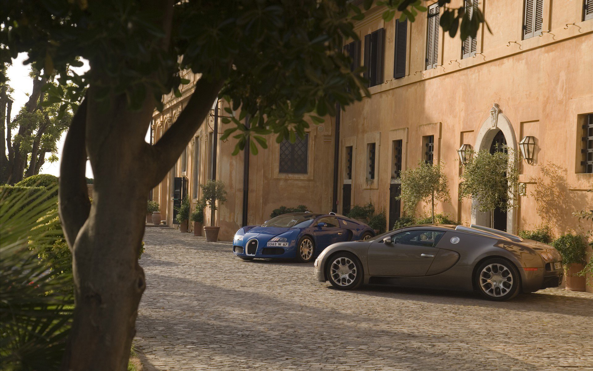 bugatti veyron arbre maison lumière