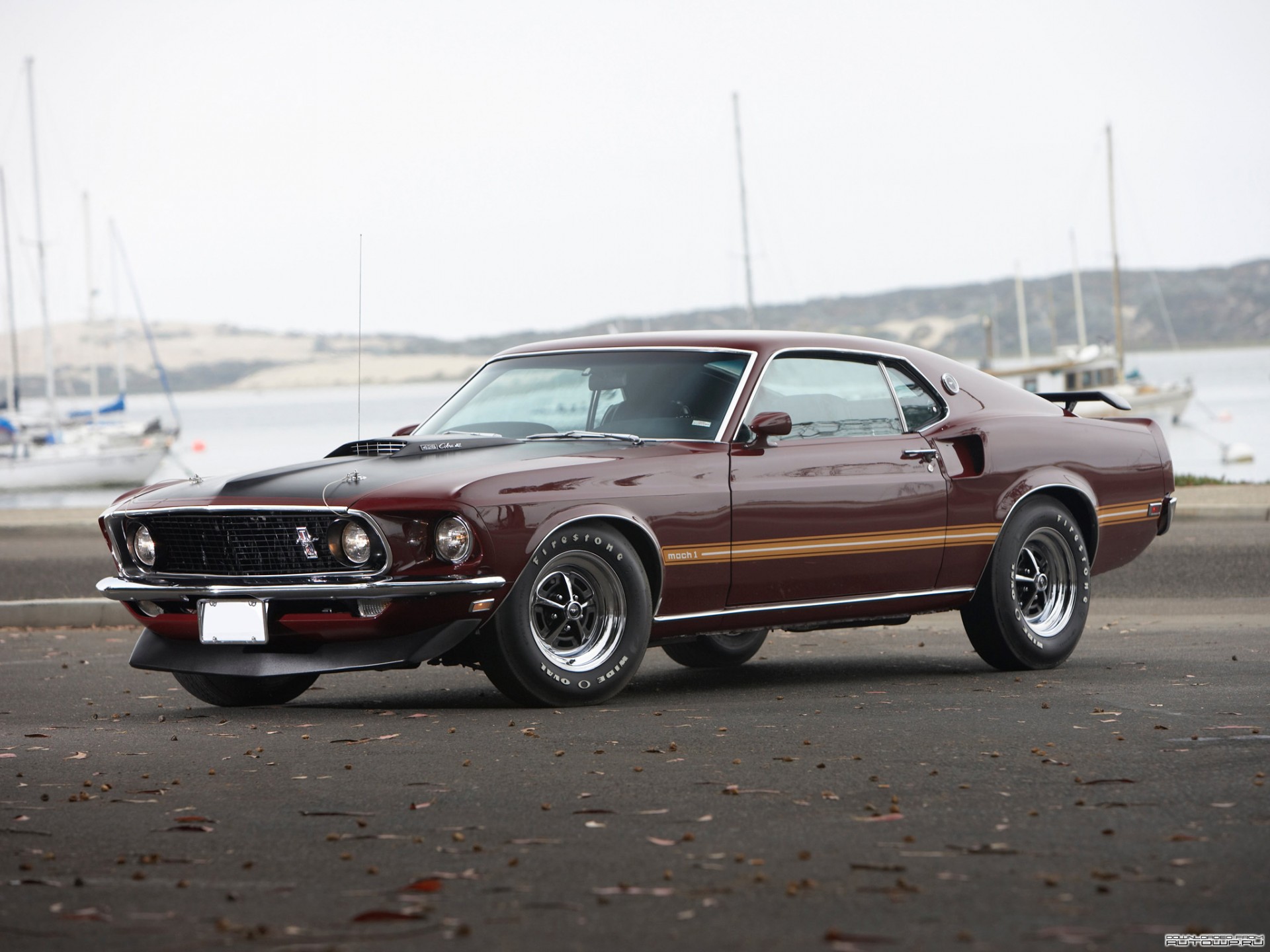 mustang mash voiture