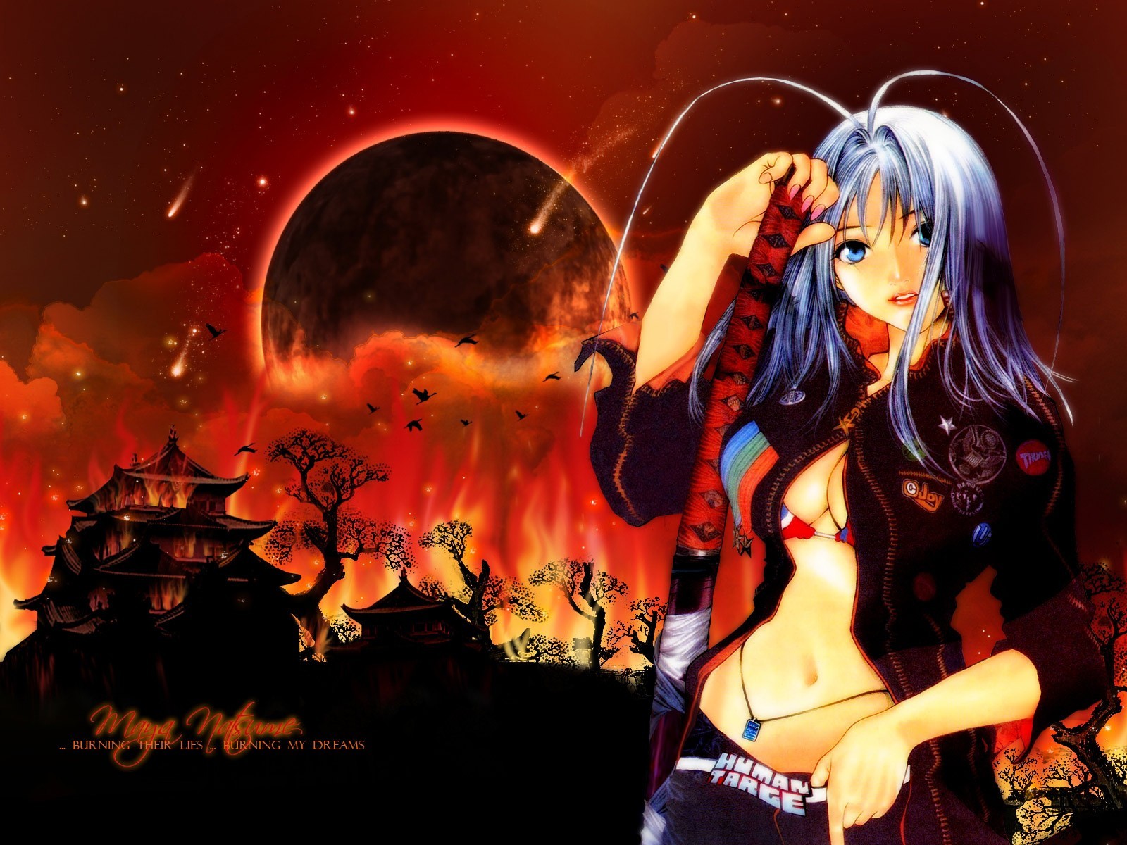 tenjou tenge anime feu