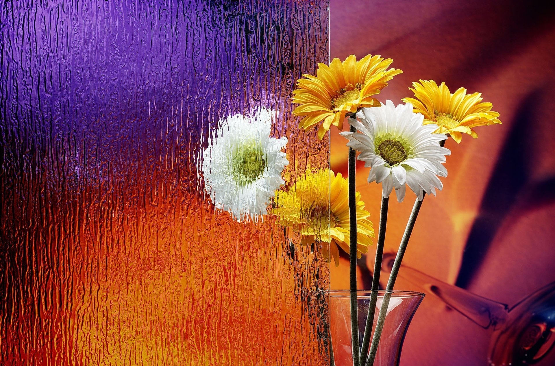 vase en verre fleurs bouquet marguerites derrière le verre