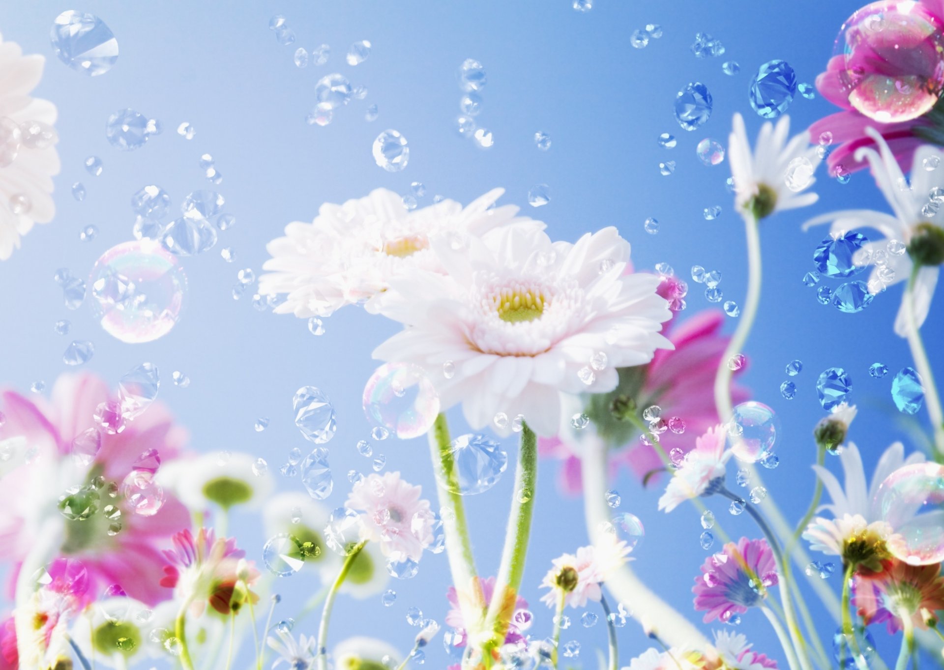 blumen frühling weiße blüten wassertropfen himmel