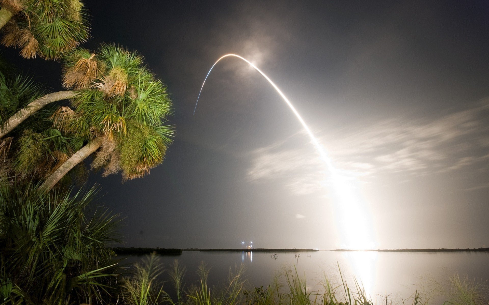 laser line palm trees water horizon night the sky