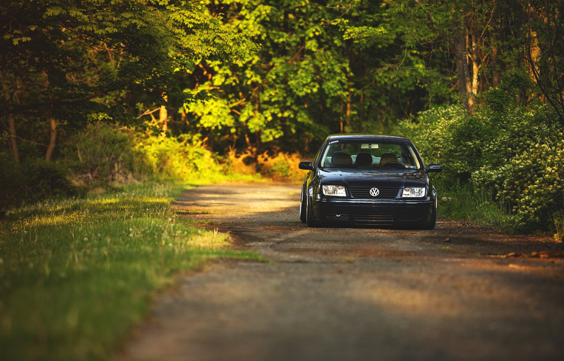 volkswagen jetta mk4 czerwony volkswagen przed las aleja