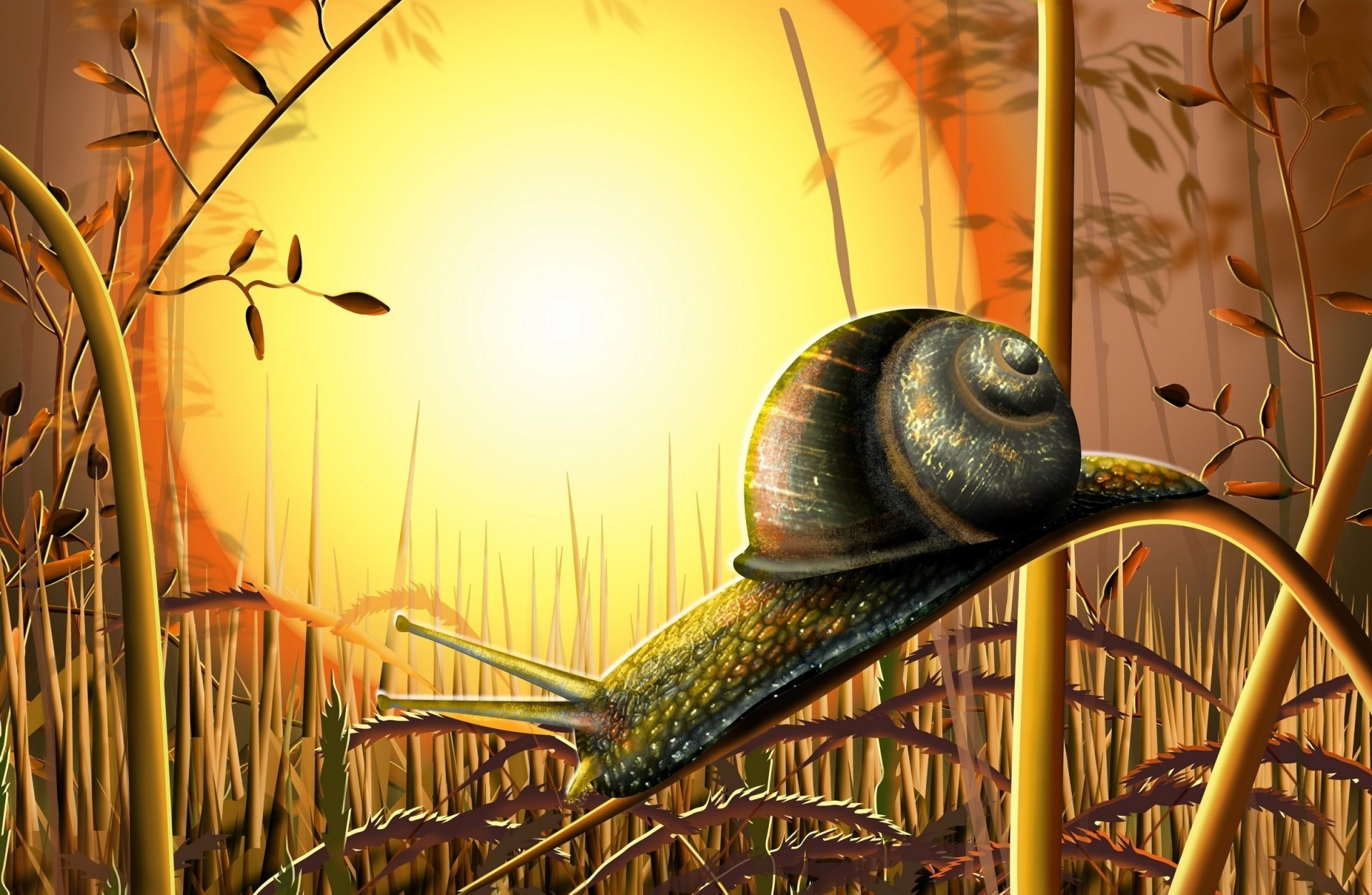 dessin escargot soleil herbe nature feuilles branche dessins anime