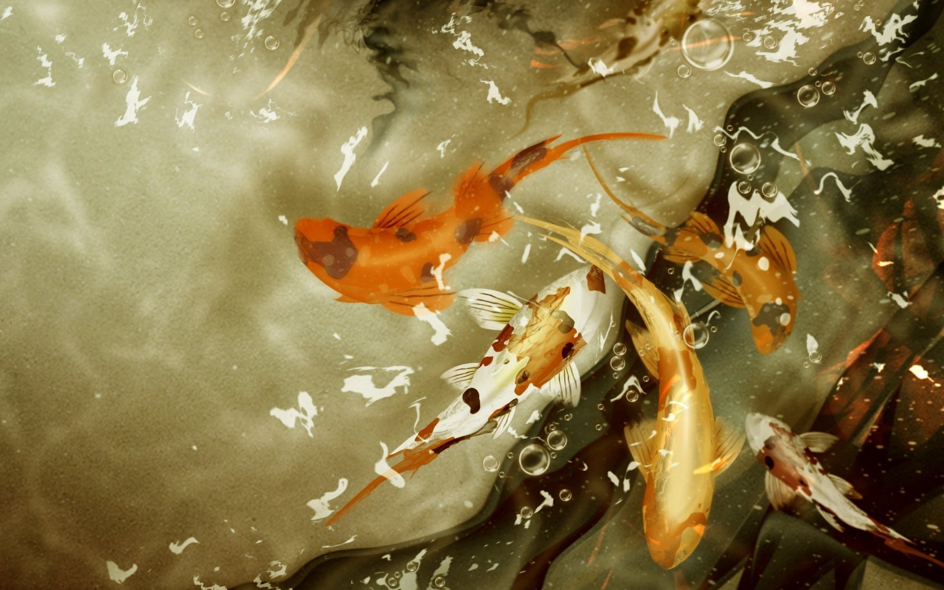 water goldfish bubbles waterfowl underwater world