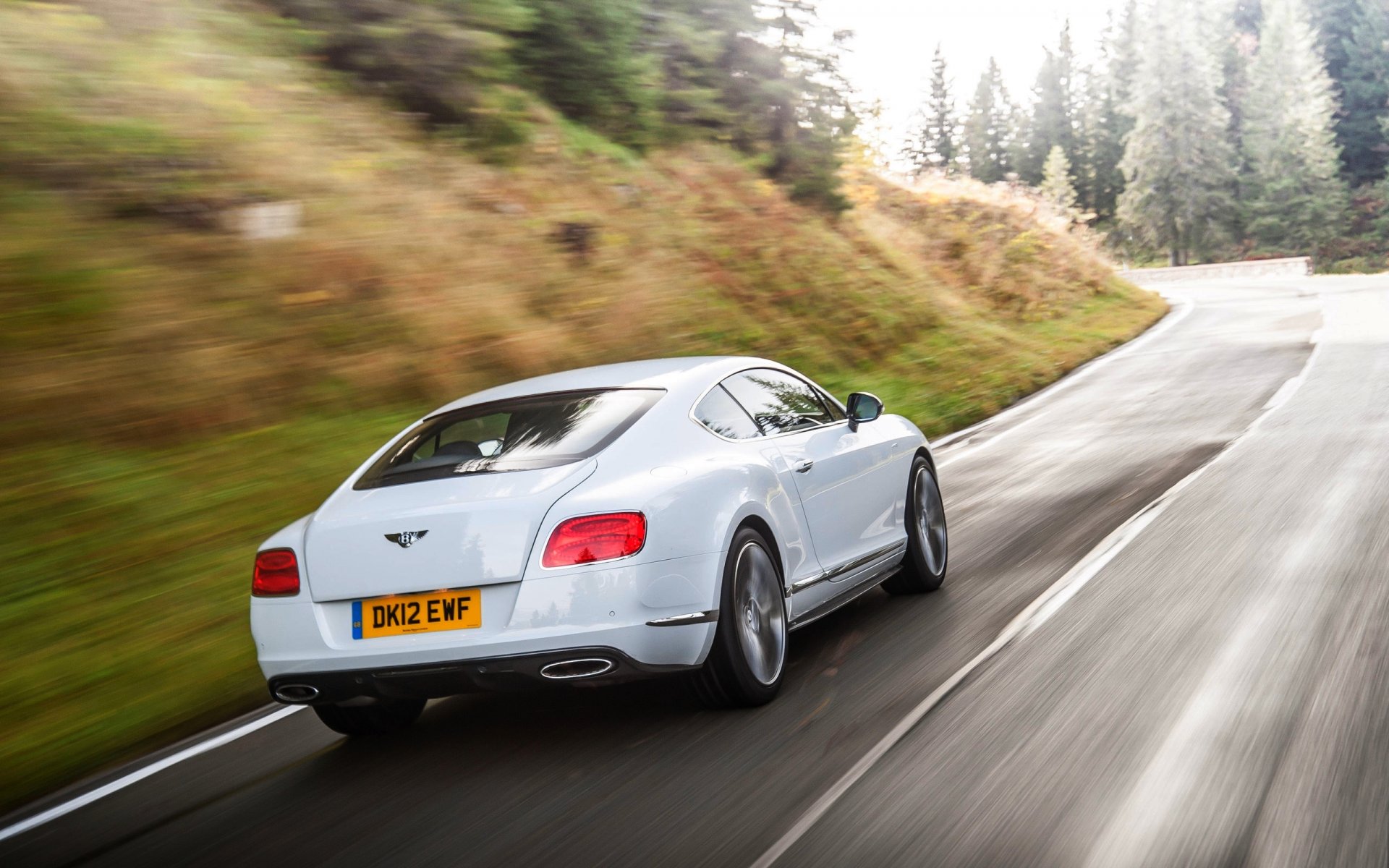 bentley continental gt white machine road in motion forest