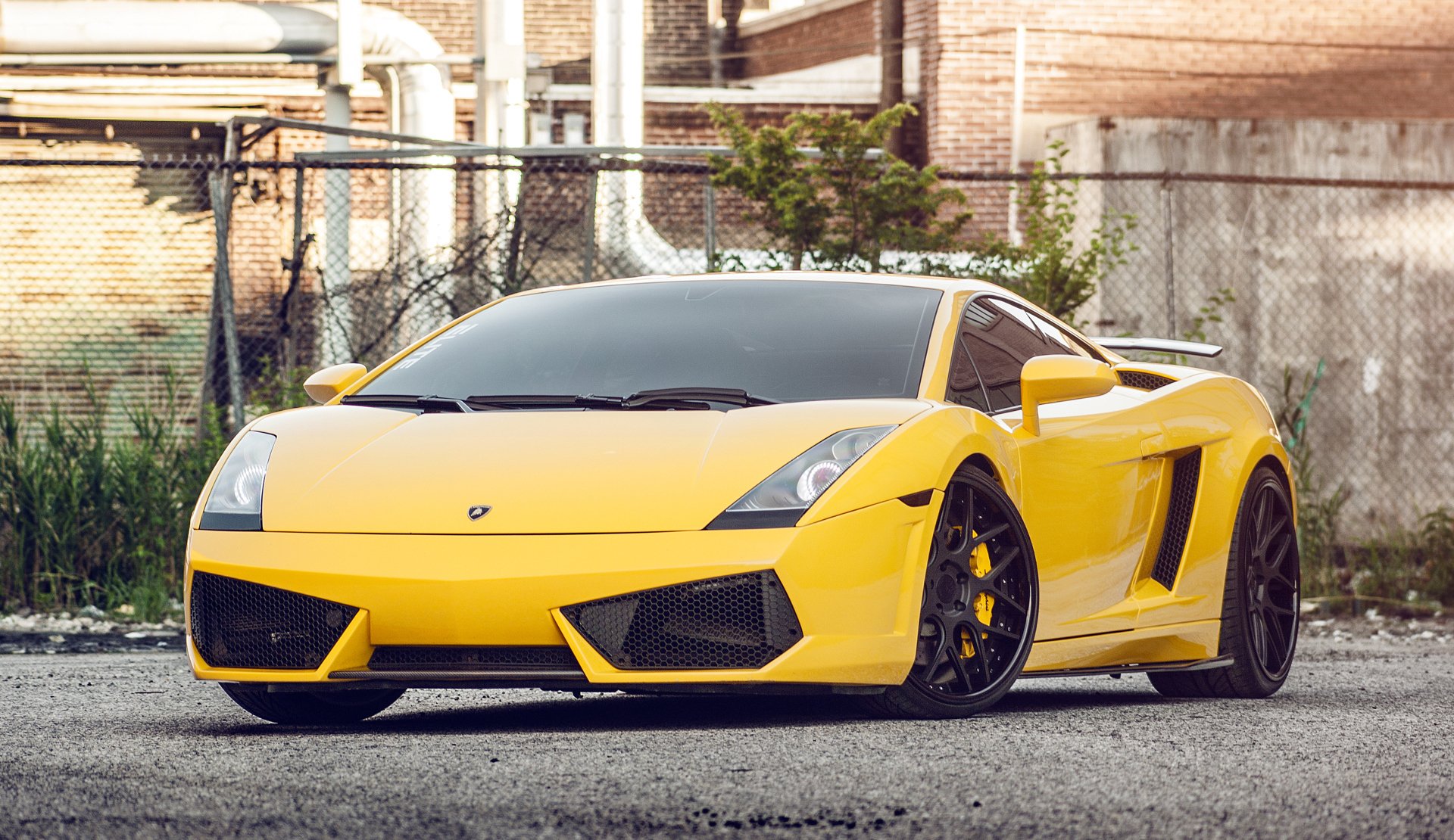 lamborghini gallardo желтый передние ламборджини галлардо