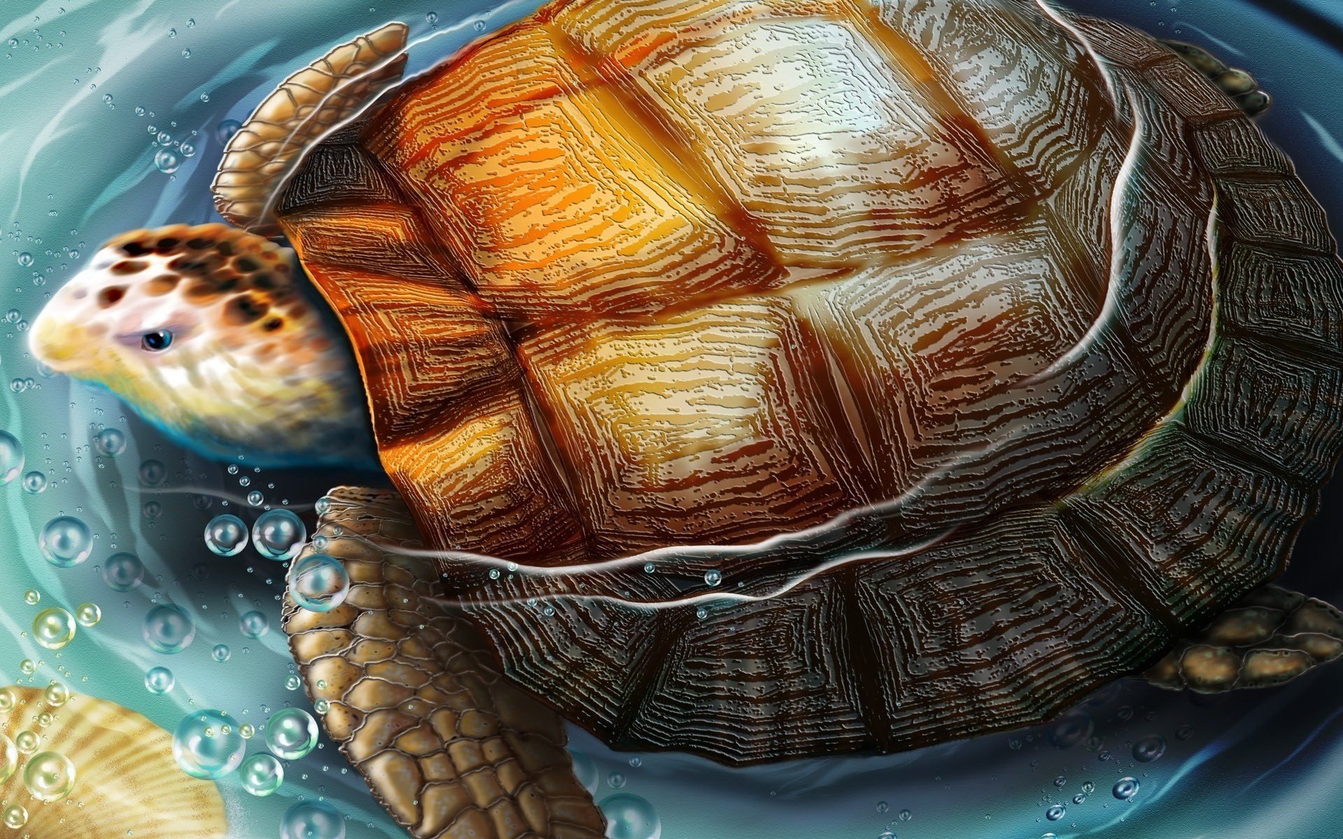 figura tortuga agua burbujas anfibios dibujos anime